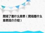爬墙了是什么意思（爬墙是什么意思简介介绍）