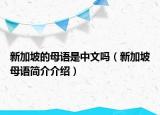 新加坡的母语是中文吗（新加坡母语简介介绍）