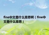 fine中文是什么意思啊（fine中文是什么意思）