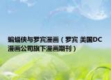 蝙蝠侠与罗宾漫画（罗宾 美国DC漫画公司旗下漫画期刊）