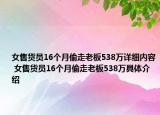 女售货员16个月偷走老板538万详细内容 女售货员16个月偷走老板538万具体介绍