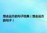 想去远方的句子经典（想去远方的句子）
