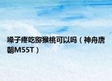 嗓子疼吃猕猴桃可以吗（神舟唐朝M55T）