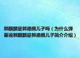 郭麒麟是郭德纲儿子吗（为什么弹幕说郭麒麟是郭德纲儿子简介介绍）
