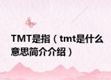 TMT是指（tmt是什么意思简介介绍）