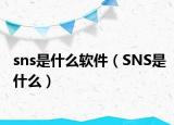 sns是什么软件（SNS是什么）