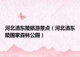 河北清东陵旅游景点（河北清东陵国家森林公园）