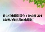 映山红电视剧简介（映山红 2013年黄力加执导的电视剧）