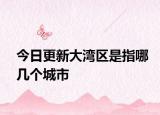 今日更新大湾区是指哪几个城市