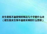 未生君我不逢君恨时嫁这几个字是什么诗（君生我未生恨不逢君未嫁时什么意思）