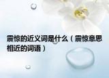 震惊的近义词是什么（震惊意思相近的词语）