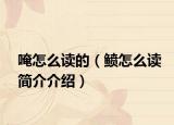 唵怎么读的（鲼怎么读简介介绍）