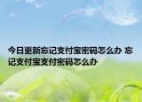 今日更新忘记支付宝密码怎么办 忘记支付宝支付密码怎么办