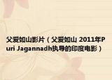 父爱如山影片（父爱如山 2011年Puri Jagannadh执导的印度电影）