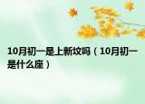 10月初一是上新坟吗（10月初一是什么座）