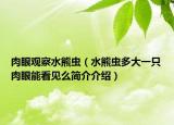 肉眼观察水熊虫（水熊虫多大一只肉眼能看见么简介介绍）