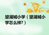 望湖城小学（望湖城小学怎么样?）