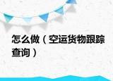 怎么做（空运货物跟踪查询）