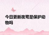 今日更新夜鹭是保护动物吗