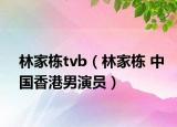 林家栋tvb（林家栋 中国香港男演员）