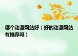 哪个动漫网站好（好的动漫网站有推荐吗）