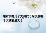 哈尔滨有几个大润发（哈尔滨哪个大润发最大）