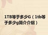 1TB等于多少G（1tb等于多少g简介介绍）