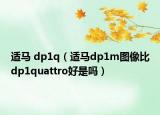 适马 dp1q（适马dp1m图像比dp1quattro好是吗）