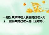 一般公共预算收入就是财政收入吗（一般公共财政收入是什么意思）