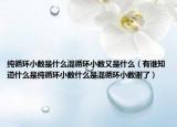 纯循环小数是什么混循环小数又是什么（有谁知道什么是纯循环小数什么是混循环小数谢了）