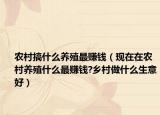 农村搞什么养殖最赚钱（现在在农村养殖什么最赚钱?乡村做什么生意好）