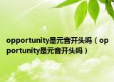 opportunity是元音开头吗（opportunity是元音开头吗）