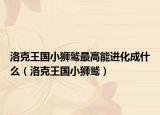 洛克王国小狮鹫最高能进化成什么（洛克王国小狮鹫）