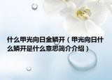 什么甲光向日金鳞开（甲光向日什么鳞开是什么意思简介介绍）
