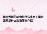 举世无双的动物指什么生肖（举世无双是什么动物简介介绍）