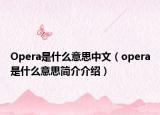 Opera是什么意思中文（opera是什么意思简介介绍）