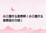 小三是什么意思啊（小三是什么意思简介介绍）