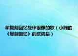和复刻回忆旋律很像的歌（小贱的《复刻回忆》的歌词是）