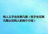 鸣人儿子出生第几集（抚子女忍第几集认识鸣人的简介介绍）