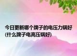 今日更新哪个牌子的电压力锅好(什么牌子电高压锅好)