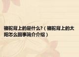 骆驼背上的是什么?（骆驼背上的太阳怎么回事简介介绍）