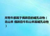 所有牛都属于偶蹄目的哺乳动物（北山羊 偶蹄目牛科山羊属哺乳动物）
