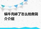 蜗牛壳碎了怎么抢救简介介绍