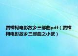 贾樟柯电影故乡三部曲pdf（贾樟柯电影故乡三部曲之小武）