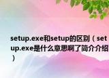 setup.exe和setup的区别（setup.exe是什么意思啊了简介介绍）