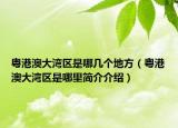 粤港澳大湾区是哪几个地方（粤港澳大湾区是哪里简介介绍）