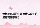 我想要怒放的生命是什么歌（这里有完整歌词）