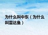 为什么叫中东（为什么叫雷达鱼）