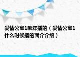 爱情公寓1哪年播的（爱情公寓1什么时候播的简介介绍）