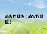 消火栓系统（消火栓系统）